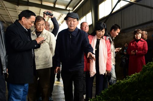 皇冠信用盘